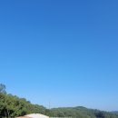 더숲요양병원 이미지