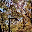 화정중앙공원 이미지