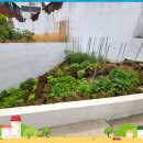 금빛샘어린이집 이미지