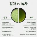抹茶 vs 綠茶 이미지