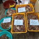 동해-단속-10 이미지