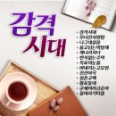 김민정 - 감격시대&무너진사랑탑&나그네 설움&울고 넘는 박달재&개나리 처녀&번지없는 주막&목포의 눈물&비내리는 고모령&전설야곡&청춘고백 이미지