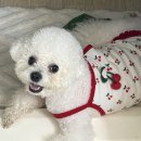 박미배드민턴장 화장실 | 🌿 소소한 프림이네 일상 기록