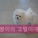 더조은 동물의료센터 이미지