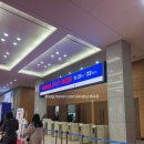 (주)두손 | 2025 일산 메가주 펫페어 후기