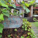 도치피자 강변 이미지