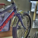 이동원의 가을 편지 이미지