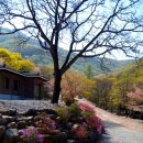 모란보건진료소 이미지