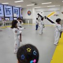 MTM영웅태권도장 이미지