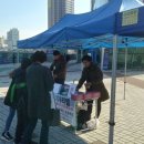 아리엘미문 이미지