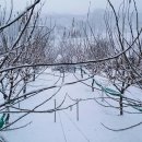 만복농장 이미지