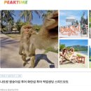 2박3일 해외여행지 추천 40만원 나트랑 여행 코스 후기