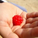 민석농장 이미지