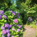 동광리-16 이미지