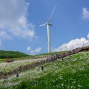 육백마지기 이미지