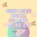 숨은꽃 이미지