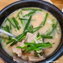 통닭에 마술사 이미지