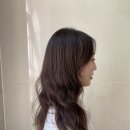 다운플라워 이미지