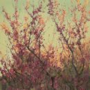 바람 구름 파도 그 이미지