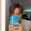 데이지플라워 이미지