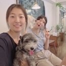 아야어여우유