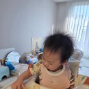 트립트랩 트레이 커버 루넬 실사용후기