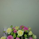 샤론  꽃  화원 이미지