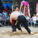 다함께생태문화