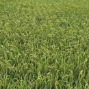 청량학동길 이미지