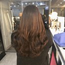 짱미용실 이미지