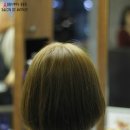 브라운커트