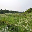 일단지공원 이미지