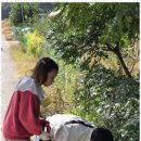 백경태권도장 이미지