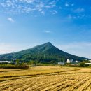 표교초교 이미지