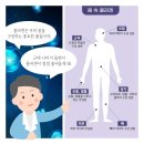 알엔에이