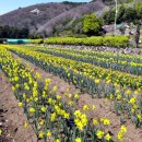 공곶이 언덕 이미지