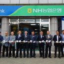 서광로 일간제주