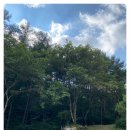 스테이, 흥업 이미지