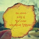 바다새 김성기🎵노래교실💕맞 구요🍁가수 김지민(2017년11월17일) 이미지