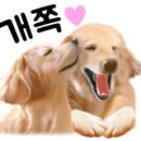 아리따운헤어 이미지