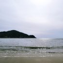 카페판다인천
