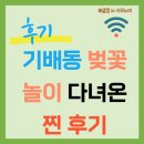 도로변(개봉로 4) | 벚꽃놀이 후기(화성 기배동 황구지천) 도로 주차 꿀팁까지 정리