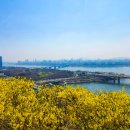 동빙고(근린공원) | 서울 응봉산, 3~4월에 가장 가볍고 예쁘게 다녀오기 좋은 봄 산행지, 개나리부터 한강 전망까지,