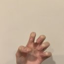 네일요밍