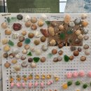 은미민박 이미지