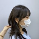 수영살롱