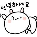 도명 태권 마루 이미지