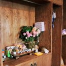 밸런스 힐링 요가 | 용인 요가 추천! 동백 이지요가 밸런스 요가 솔직후기