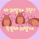서동방역 이미지