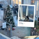 어웨일카페펍 이미지